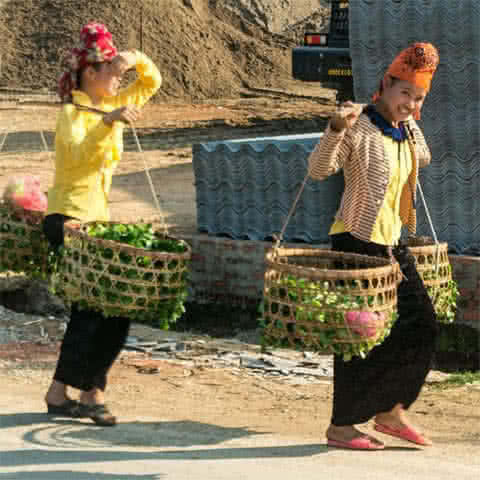 2 Thai girls, trans-Vietnam trip 2016